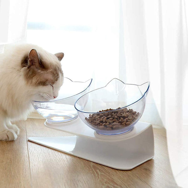 Orthopedic Pet Bowl